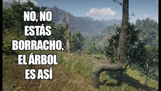 Red Dead Redemption 2 – Estos son los árboles más extraños del juego Los árboles RE  TORCIDOS [upl. by Bandeen]