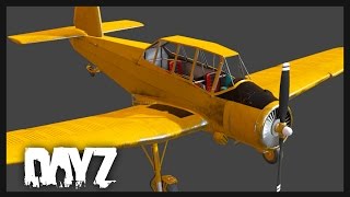 Bumblebee Airplane Shooting from Cars amp More  DayZ Status Report [upl. by Adeline]