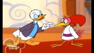 Disney’s House of Mouse Season 3 Episode 5 Donald and the Aracuan Bird [upl. by Tsugua818]