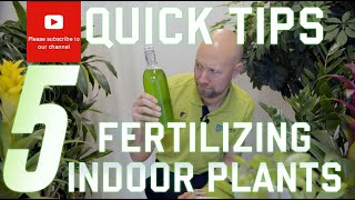 5 quick tips Fertilizing your indoor plants [upl. by Keare]