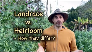 How does Landrace Differ From Heirloom [upl. by Anitnerolf]