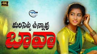 Marisetta Vunnavu Bava Song  New Folk Song  Premalatha  Praveen Bujji  TS FOLK [upl. by Anilegnave422]