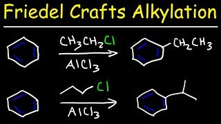 Friedel Crafts Alkylation of Benzene Reaction Mechanism  Tons of Examples [upl. by Arlynne]