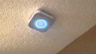 Nest Fire Alarm Test [upl. by Herrick]