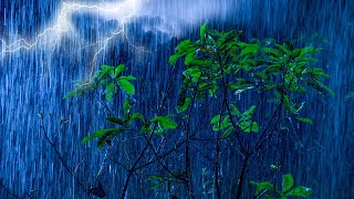 ⚡4K Intense Thunderstorm Rain to Fall Asleep Fast  Torrential Rain amp Very Powerful Thunder at Night [upl. by Itin979]