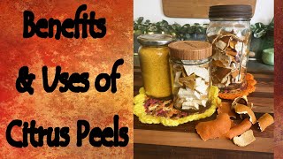 Benefits and Uses of Citrus Peels [upl. by Radek]