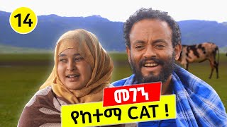 የከተማ Cat 😂😂😂 ቅመምና ጎሽሜ ክፍል 14  tesfa [upl. by Padriac]