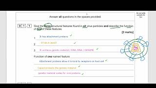 ALevel AQA Biology Viruses question pass your exams [upl. by Nonah]