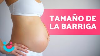 ¿Cómo va CRECIENDO la BARRIGA en el EMBARAZO 🤰🏻 Tamaño Mes a Mes ✅ [upl. by Hancock934]