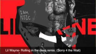 Lil Wayne Rolling in the Deep Adele SFTW mixtape 2011 HQ [upl. by Yevi]