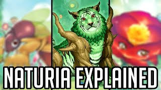 Naturia Explained in 43 Minutes YuGiOh Archetype Analysis [upl. by Dnaletak454]