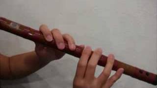 Basic introduction of the Dizi Chinese Bamboo Flute [upl. by Arvind159]