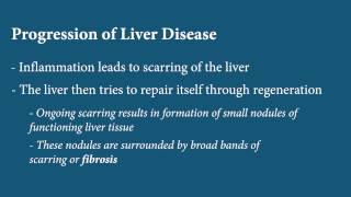 Liver Disease  Fibrosis [upl. by Wilmar87]