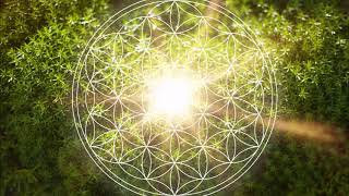 528 Hz Heart Chakra Regeneration  Repair amp Heal The Heart Chakra  Open amp Balance ANAHATA Chakra [upl. by Ramo269]