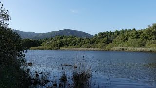 Randonnées lac des Escarcets Plaine des Maures [upl. by Calloway]