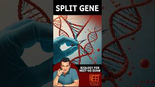 SPLIT GENE  concept of introns and Exons  class 12th Molecular Biology for NEET  neet science [upl. by Darom]