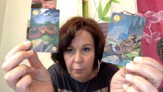 Vlog LenorMai Défi Lenormand Jour 10 Serpent amp Cercueil [upl. by Nepean221]