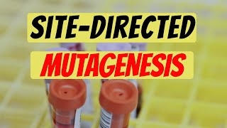 SiteDirected Mutagenesis Explained Genetic Engineering [upl. by Innavoeg666]