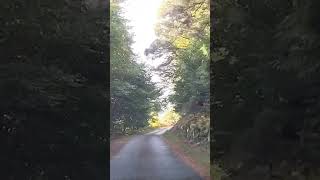 Driving down the Wicklow mountains in Ireland [upl. by Doherty931]