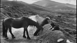 Henri Cartier Bresson  The Decisive Moment [upl. by Noam]