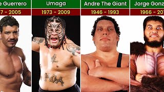 Famous Wrestlers Who Have Died [upl. by Faustina]