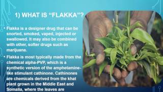 WHAT YOU NEED TO KNOW ABOUT FLAKKA A Deadly Designer Drug [upl. by Castle]