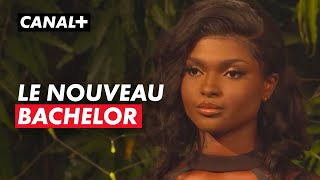 Le nouveau Bachelor [upl. by Leavelle]