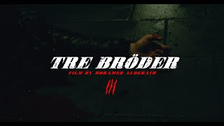 Tre Bröder  Official Trailer [upl. by Ahsemed]