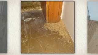 Anti Termite Treatment For Wood [upl. by Victorine742]