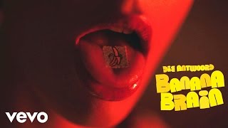 Die Antwoord  Die Antwoord  Banana Brain Official Video [upl. by Oikim]