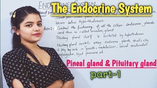 Endocrine System  Pineal Gland amp Pituitary Gland  The Endocrine Gland  Easy Explanation  Part1 [upl. by Kornher]