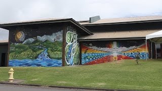 ʻŌiwi TV  Mele Murals Waimea [upl. by Gamages]