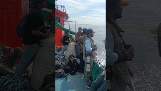 പുറങ്കടൽയാത്ര  Pelagic bird surveyshortvideo travel shorts marinelife birding seafishingboat [upl. by Parlin519]