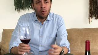 Pinot Noir Gran Reserva Morandé 2018 English sub [upl. by Icat910]