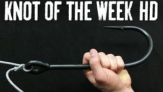 Tie Fishing Hooks Easily with the Modified Clinch Knot  ITS Knot of the Week HD [upl. by Paul246]