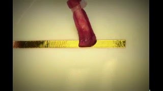 24K Gold Plating Solution Demo  How to Gold Plate Copper Effectively [upl. by Oeniri]