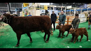 France 3 en direct du Salon de lagriculture  Laurent Romejko est linvité de Culture médias [upl. by Eyar]