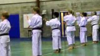 GKR karate combinations training [upl. by Funch]