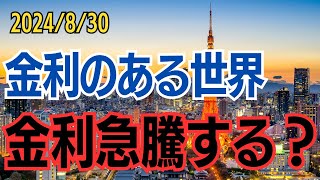 【日本金利急騰】金利のある世界は崖っぷちの世界 [upl. by Reade]