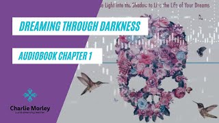 Dreaming Through Darkness AUDIOBOOK Chapter 1 [upl. by Augy]