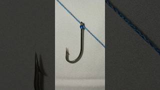 Tie an antiloose bottom fishing hookfishingknots fishingknotfishing [upl. by Glanti]