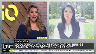 Miami’s Zoological Wildlife Raises Awareness for Species in Captivity [upl. by Aket]