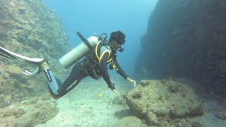 Scuba Diving Coin de Mire Confetty Bay [upl. by Pedro]