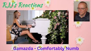 Reaction to Gamazda  Comfortably Numb Pink Floyd cover [upl. by Jegger]