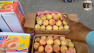 Sargodha Mandi Ma Arow ke Boli  Fruit Mandi Sargodha  waqar vlogger [upl. by Banky]