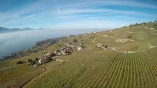 Vineyards of Lavaux  Switzerland in Fall 4K [upl. by Woodruff]