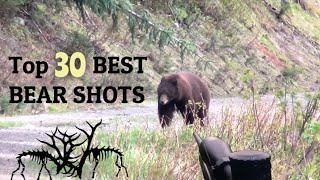 TOP 30 BEST BEAR HUNTING KILL SHOTS [upl. by Llereg291]