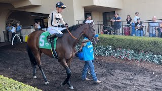 Bob Baffert Trained Filly Wins With Ease in Race 8 at Del Mar [upl. by Fiedling898]