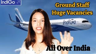 Indigo Ground Staff Jobs  Latest Airport Jobs for Freshers  Male amp Female [upl. by Eelyac569]