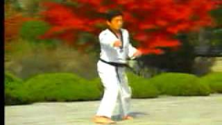 8 Taekwondo Poomsae Taegeuk Pal Jang WTF [upl. by Eilyw]